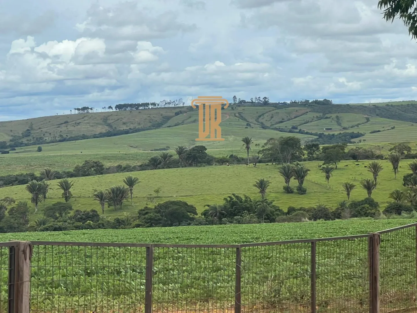 FAZENDA &Agrave; VENDA EM PARACATU 1.300 HECTARES  &ndash; MG  Paracatu - 