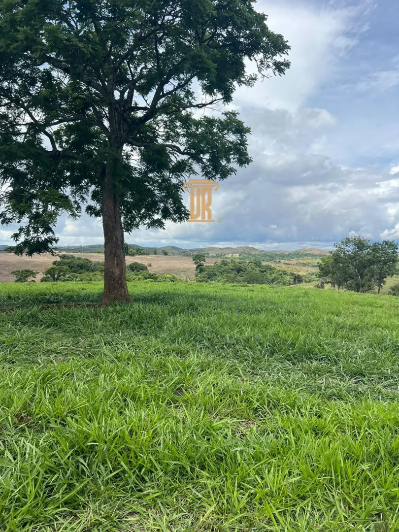 FAZENDA &Agrave; VENDA EM PARACATU 1.300 HECTARES  &ndash; MG  Paracatu - 