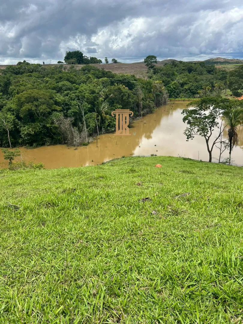 FAZENDA &Agrave; VENDA EM PARACATU 1.300 HECTARES  &ndash; MG  Paracatu - 