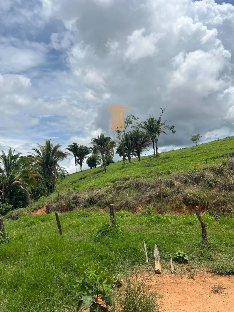 FAZENDA &Agrave; VENDA EM PARACATU 1.300 HECTARES  &ndash; MG  Paracatu - 