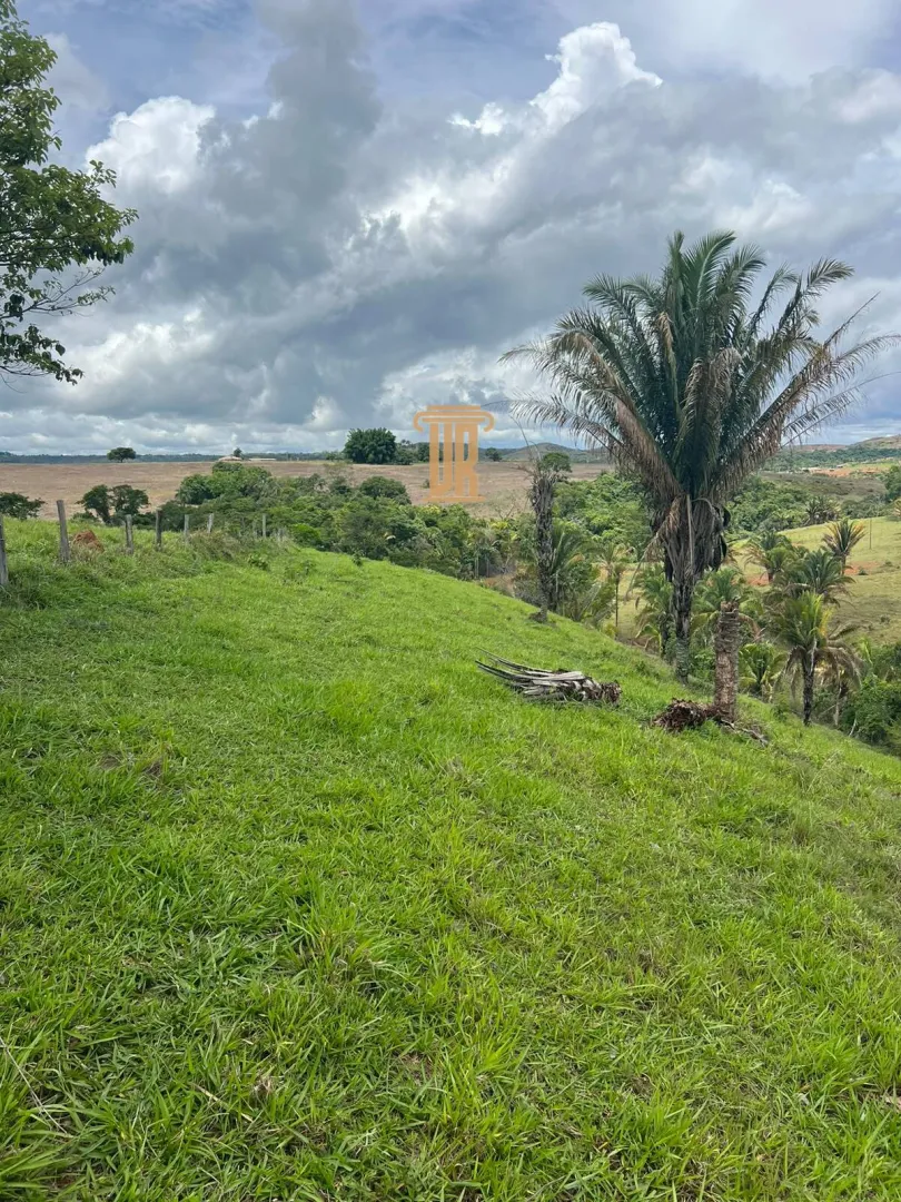 FAZENDA &Agrave; VENDA EM PARACATU 1.300 HECTARES  &ndash; MG  Paracatu - 