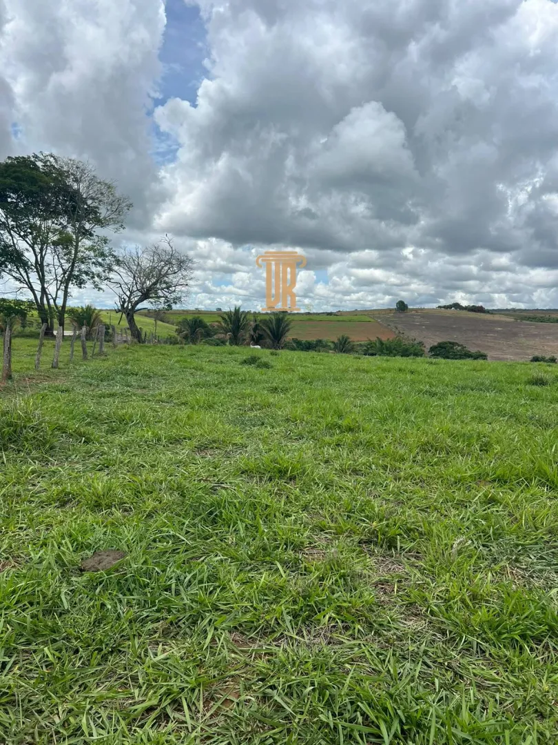 FAZENDA &Agrave; VENDA EM PARACATU 1.300 HECTARES  &ndash; MG  Paracatu - 