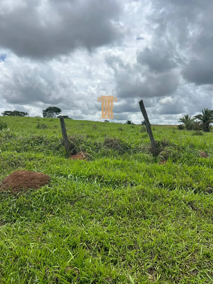 FAZENDA &Agrave; VENDA EM PARACATU 1.300 HECTARES  &ndash; MG  Paracatu - 