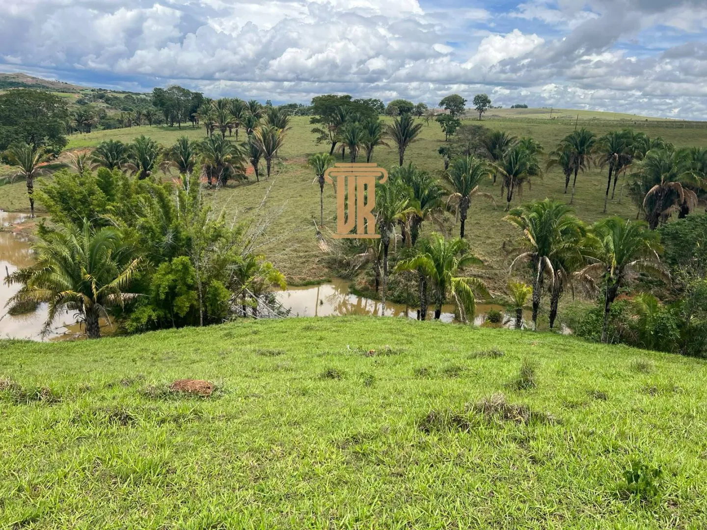 FAZENDA &Agrave; VENDA EM PARACATU 1.300 HECTARES  &ndash; MG  Paracatu - 