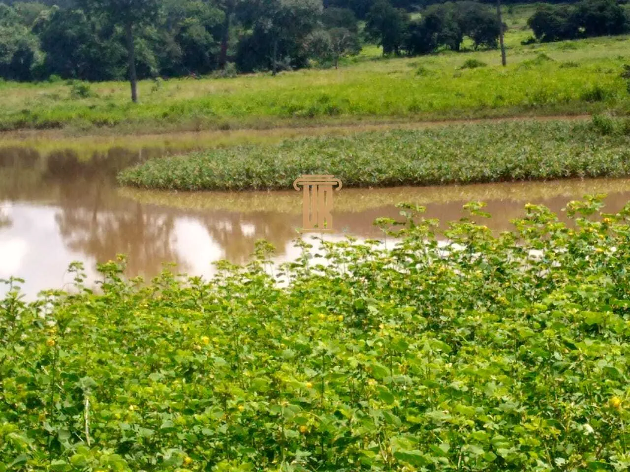 FAZENDA A VENDA EM UNA&Iacute; - MG  Unaí - 
