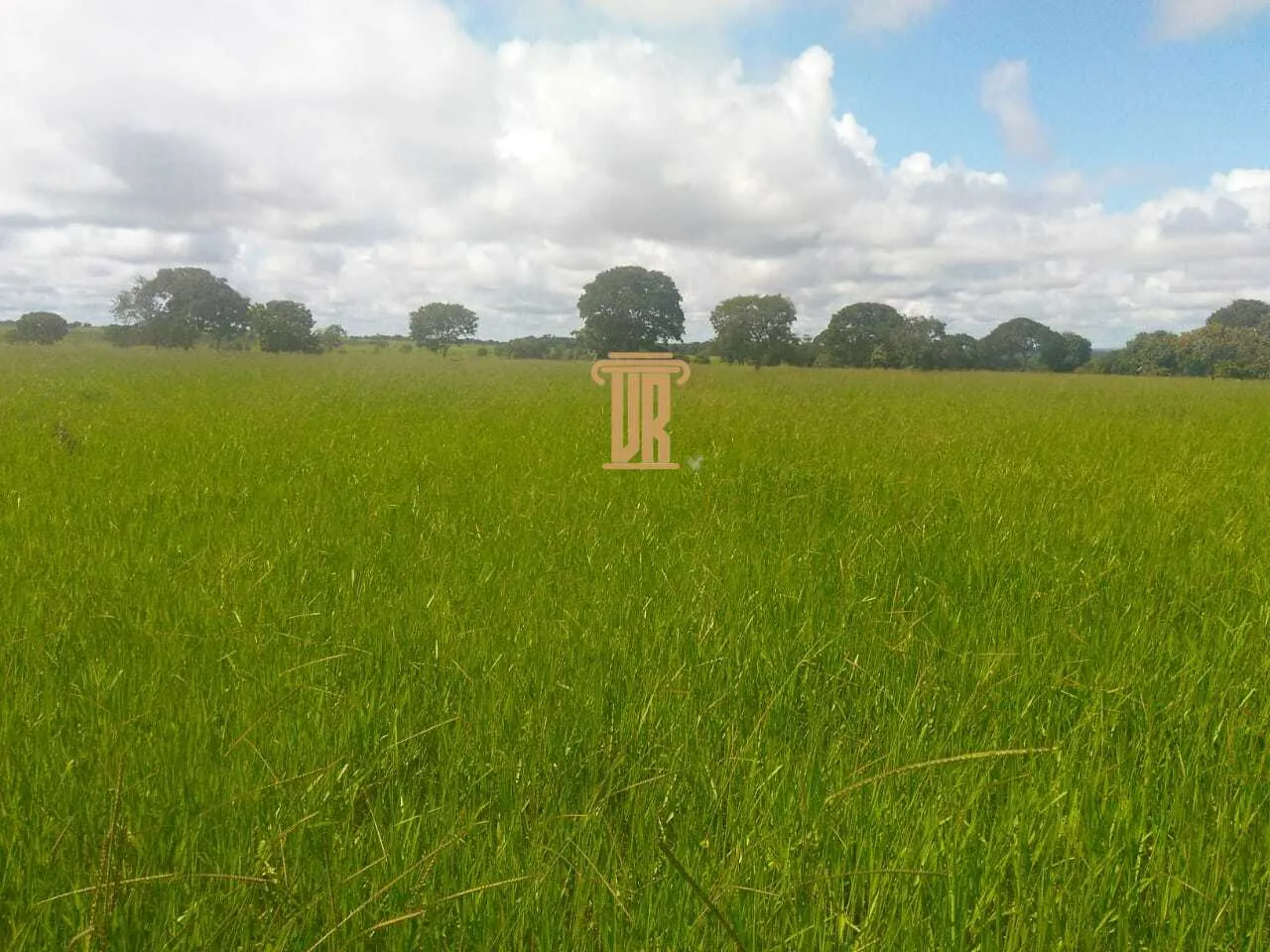 FAZENDA A VENDA EM UNA&Iacute; - MG  Unaí - 