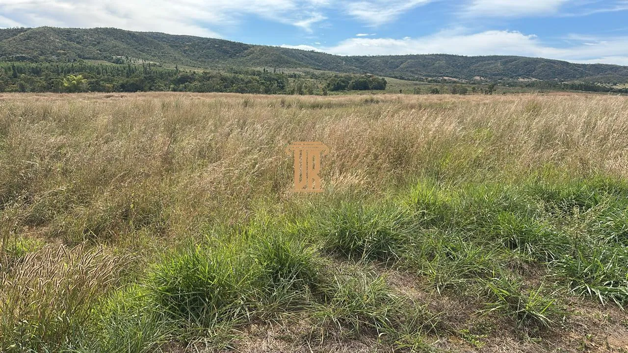 FAZENDA &Agrave; VENDA EM UNA&Iacute; COM 1.500 HECTARES&ndash; MG  Unaí - 