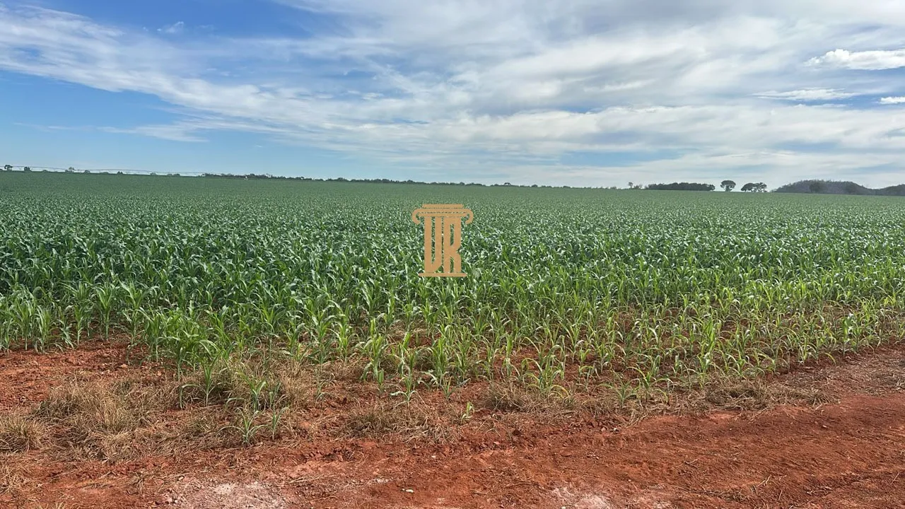 FAZENDA &Agrave; VENDA EM UNA&Iacute; COM 1.500 HECTARES&ndash; MG  Unaí - 