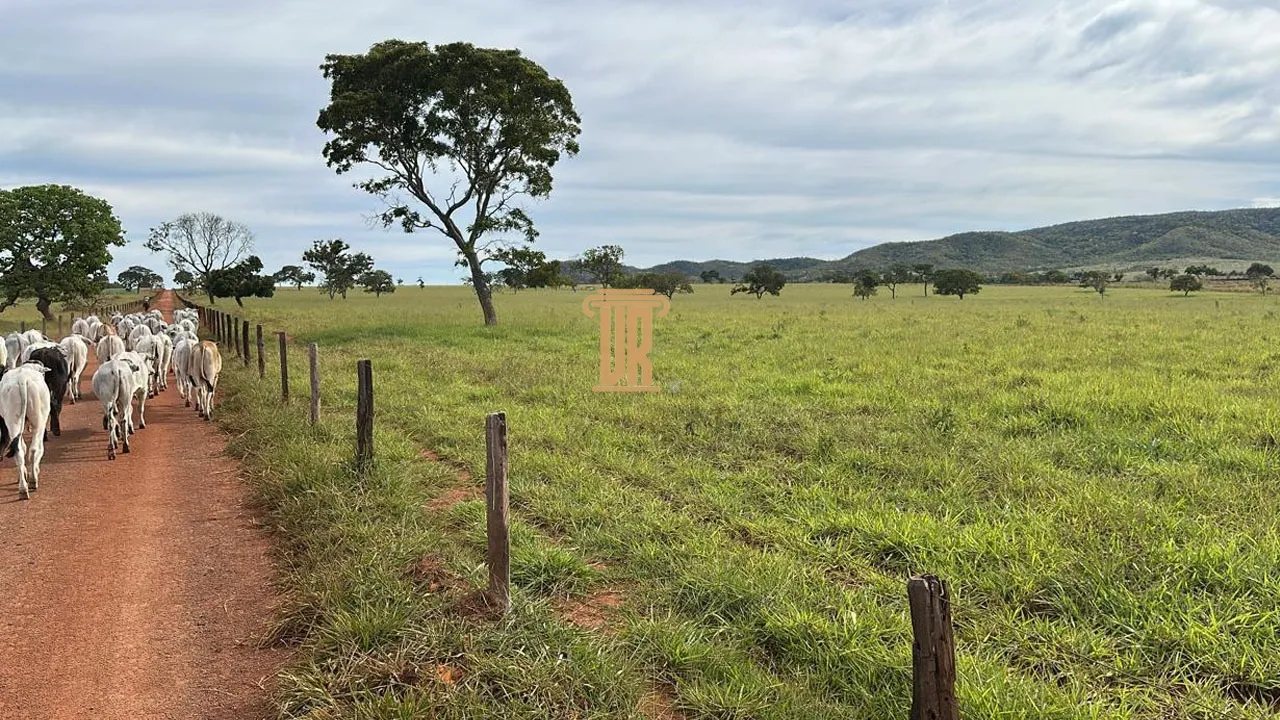 FAZENDA &Agrave; VENDA EM UNA&Iacute; COM 1.500 HECTARES&ndash; MG  Unaí - 