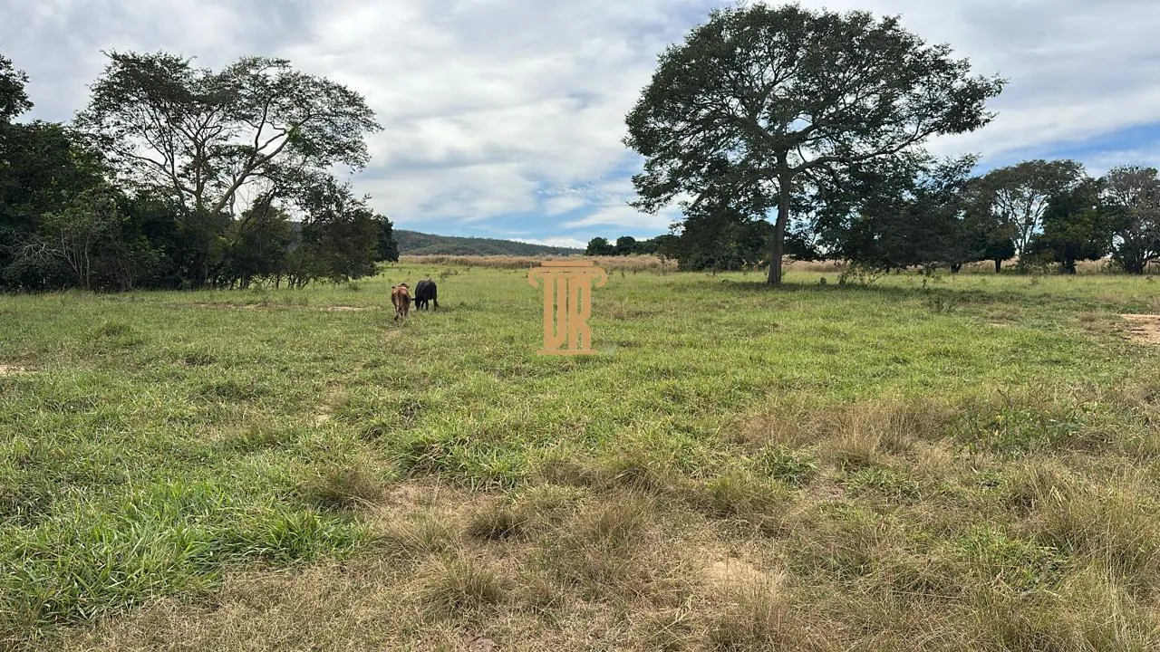FAZENDA &Agrave; VENDA EM UNA&Iacute; COM 1.500 HECTARES&ndash; MG  Unaí - 
