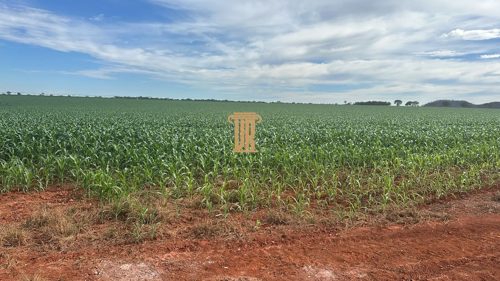 FAZENDA &Agrave; VENDA EM UNA&Iacute; COM 1.500 HECTARES&ndash; MG  Unaí - 