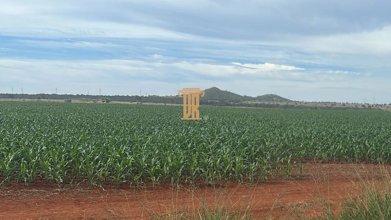 FAZENDA &Agrave; VENDA EM UNA&Iacute; COM 1.500 HECTARES&ndash; MG  Unaí - 