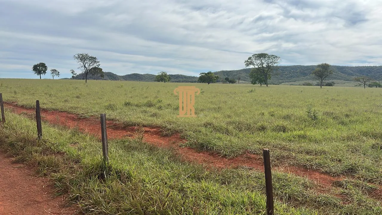 FAZENDA &Agrave; VENDA EM UNA&Iacute; COM 1.500 HECTARES&ndash; MG  Unaí - 