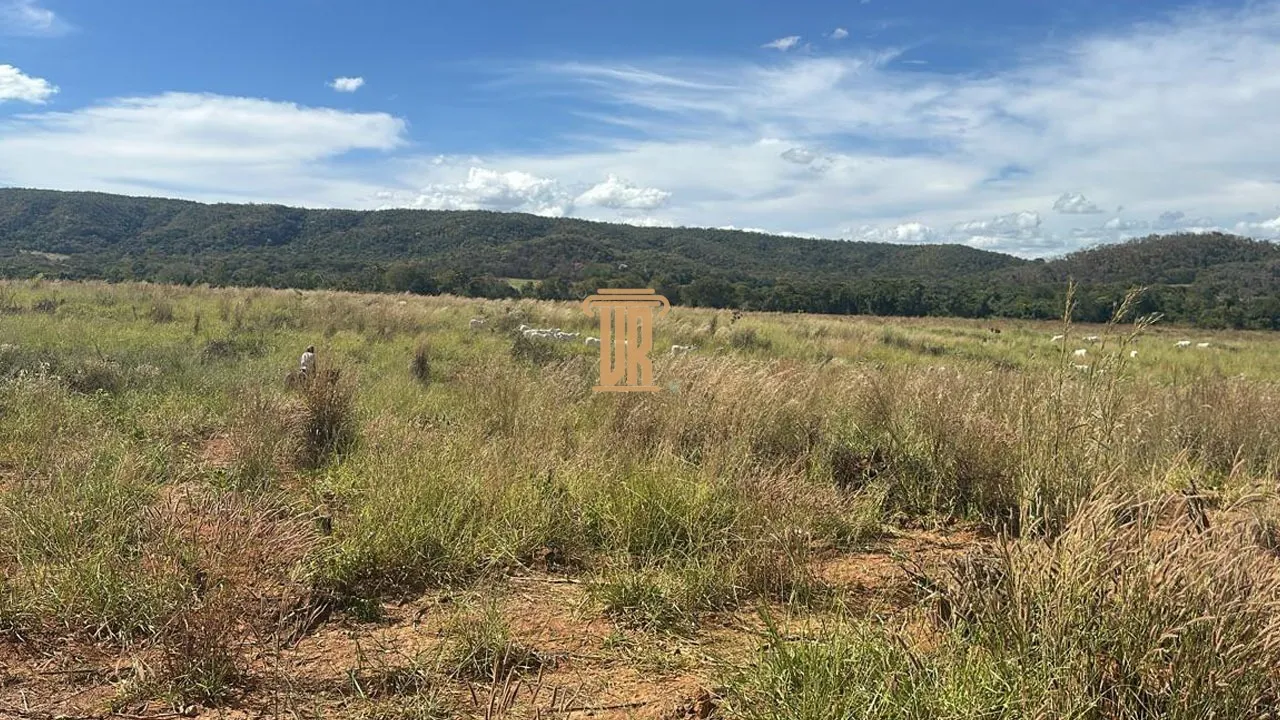 FAZENDA &Agrave; VENDA EM UNA&Iacute; COM 1.500 HECTARES&ndash; MG  Unaí - 
