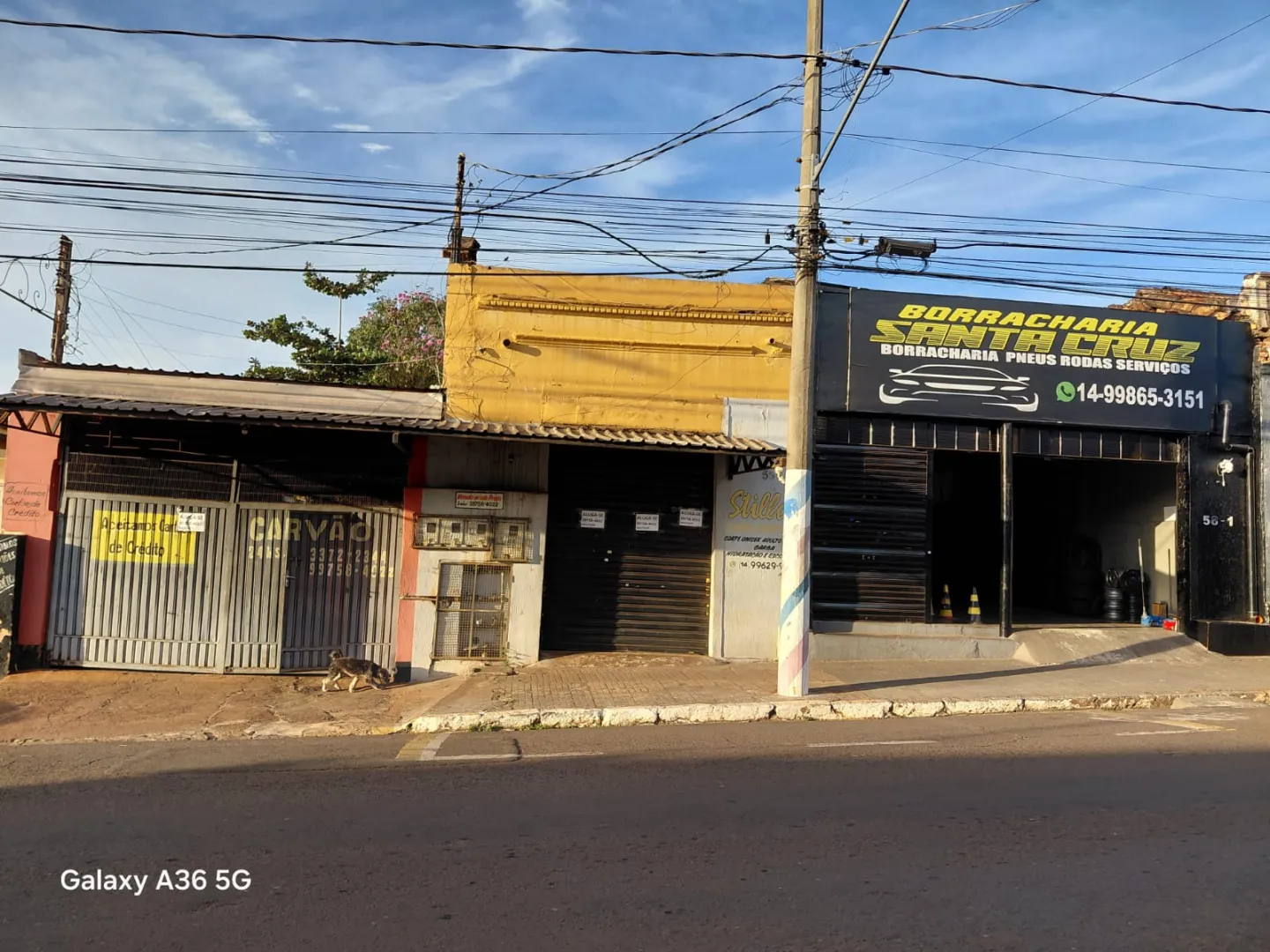 Pontos Comerciais Avenida Doutor Pedro Camarinha Santa Cruz do Rio Pardo - 