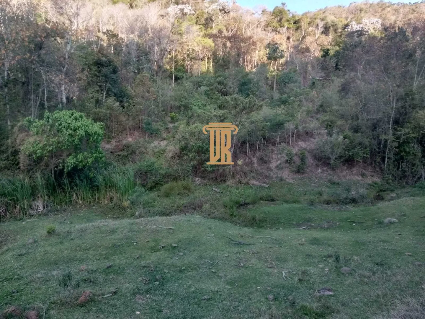 S&Iacute;TIO de 17 ALQUEIRES &Agrave; VENDA EM CUNHA/SP  Cunha - 