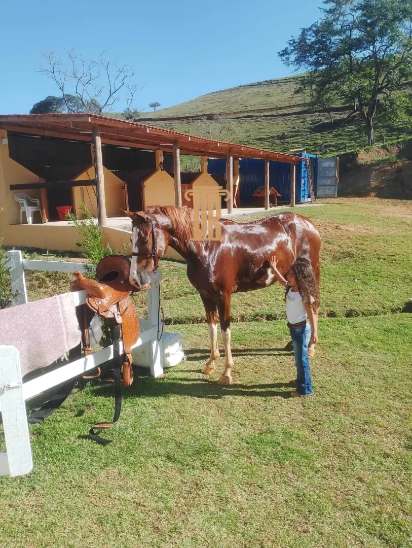 CH&Aacute;CARA ADE ALTO PADR&Atilde;O &Aacute; VENDA EM S&Atilde;O JOS&Eacute; DOS CAMPOS  São José dos Campos - 