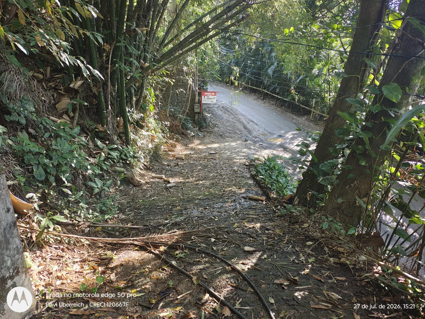 VENDO TERRENO 21MIL M2 - VISTA PANOR&Acirc;MICA MAR Avenida Coronel José Vicente de Faria Lima Ilhabela - 
