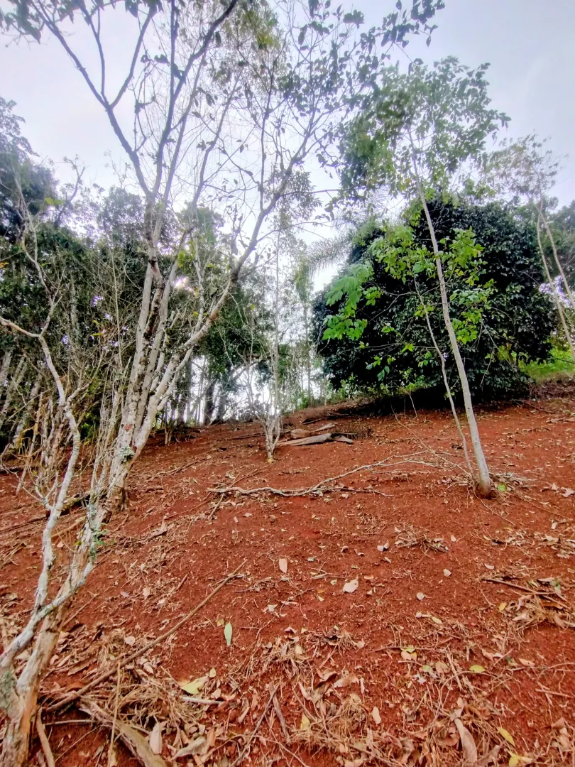 &Oacute;tima ch&aacute;cara &agrave; venda no bairro Boa Vista  Igaratá - 