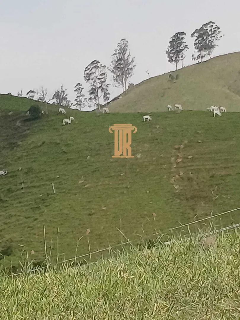 S&Iacute;TIO &Agrave; VENDA &ndash; 48,4 HECTARES EM JAMBEIRO/SP  Jambeiro - 