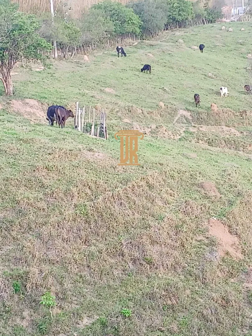 S&Iacute;TIO &Agrave; VENDA &ndash; 48,4 HECTARES EM JAMBEIRO/SP  Jambeiro - 