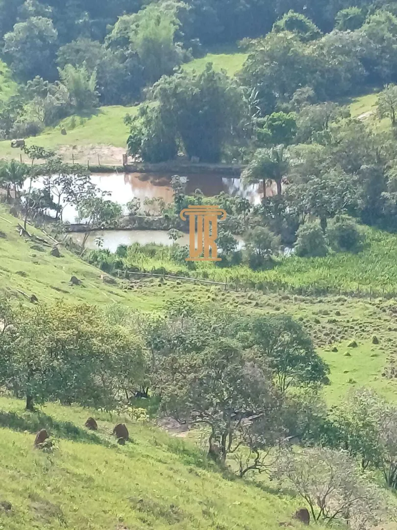 S&Iacute;TIO &Agrave; VENDA &ndash; 48,4 HECTARES EM JAMBEIRO/SP  Jambeiro - 