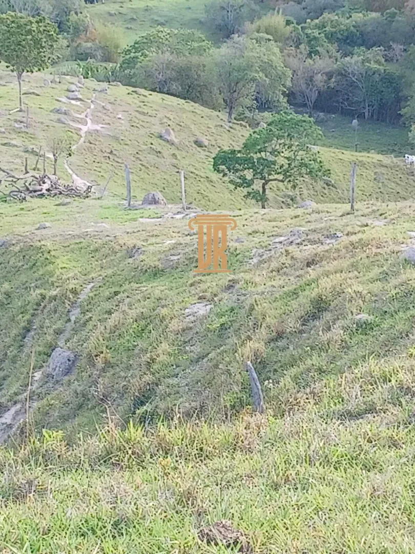 S&Iacute;TIO &Agrave; VENDA &ndash; 48,4 HECTARES EM JAMBEIRO/SP  Jambeiro - 