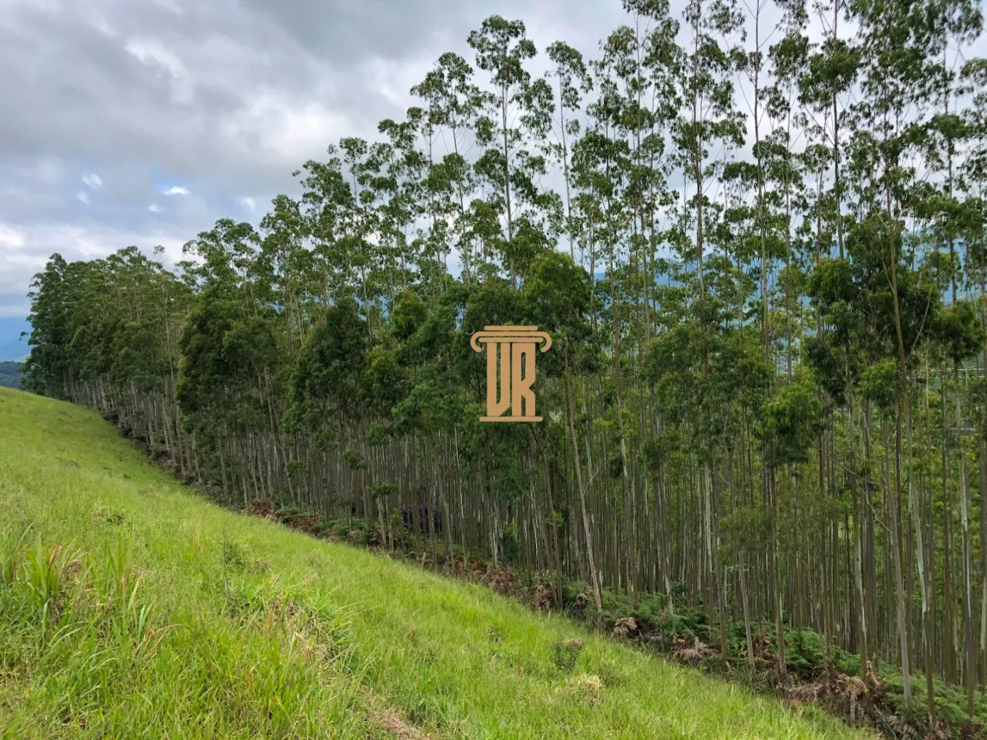 S&Iacute;TIO &Agrave; VENDA &ndash; 8,37 ALQUEIRES | REGI&Atilde;O DE S&Atilde;O FRANCISCO XAVIER &ndash; S&Atilde;O JOS&Eacute; DOS CAMPOS/SP  São José dos Campos - 