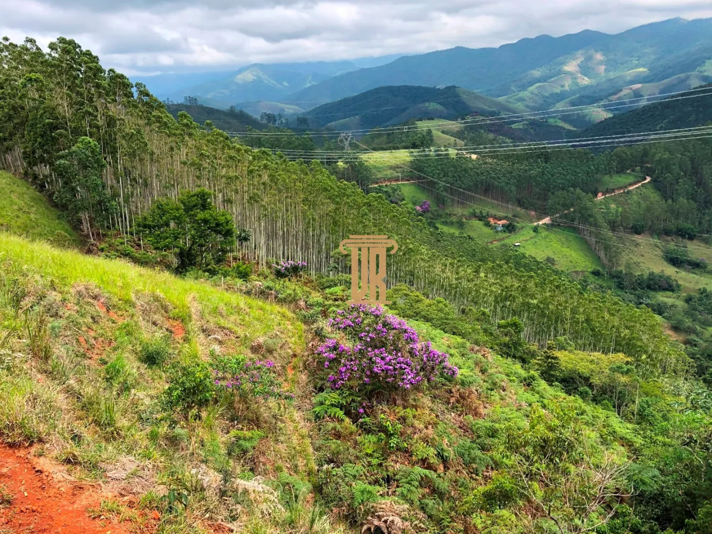 S&Iacute;TIO &Agrave; VENDA &ndash; 8,37 ALQUEIRES | REGI&Atilde;O DE S&Atilde;O FRANCISCO XAVIER &ndash; S&Atilde;O JOS&Eacute; DOS CAMPOS/SP  São José dos Campos - 