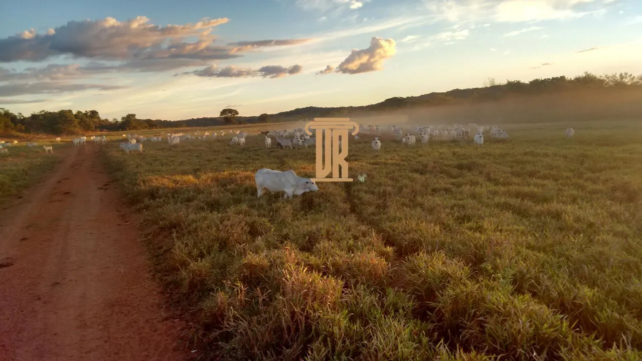 FAZENDA DE ALTO POTENCIAL &Agrave; VENDA &ndash; GOIATINS/TO  Goiatins - 
