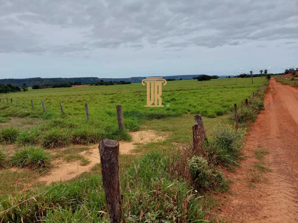 FAZENDA DE ALTO POTENCIAL &Agrave; VENDA &ndash; GOIATINS/TO  Goiatins - 