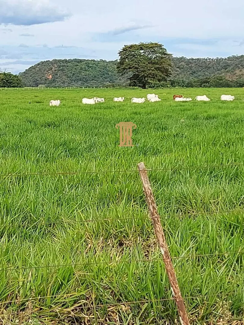 FAZENDA DE ALTO POTENCIAL &Agrave; VENDA &ndash; GOIATINS/TO  Goiatins - 