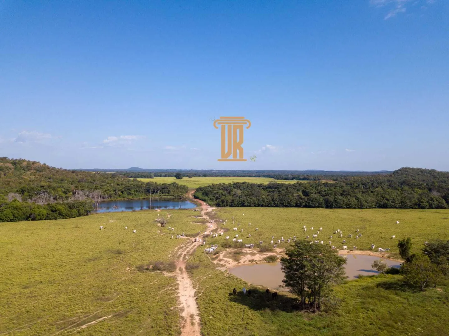 FAZENDA DE ALTO POTENCIAL &Agrave; VENDA &ndash; GOIATINS/TO  Goiatins - 