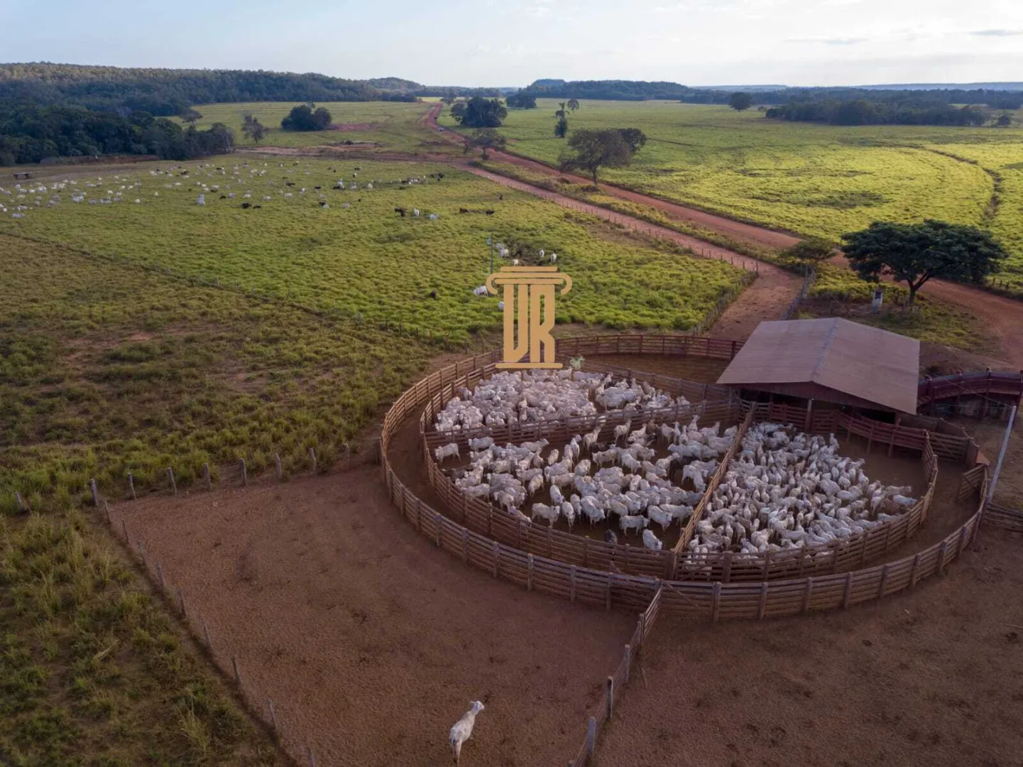 FAZENDA DE ALTO POTENCIAL &Agrave; VENDA &ndash; GOIATINS/TO  Goiatins - 