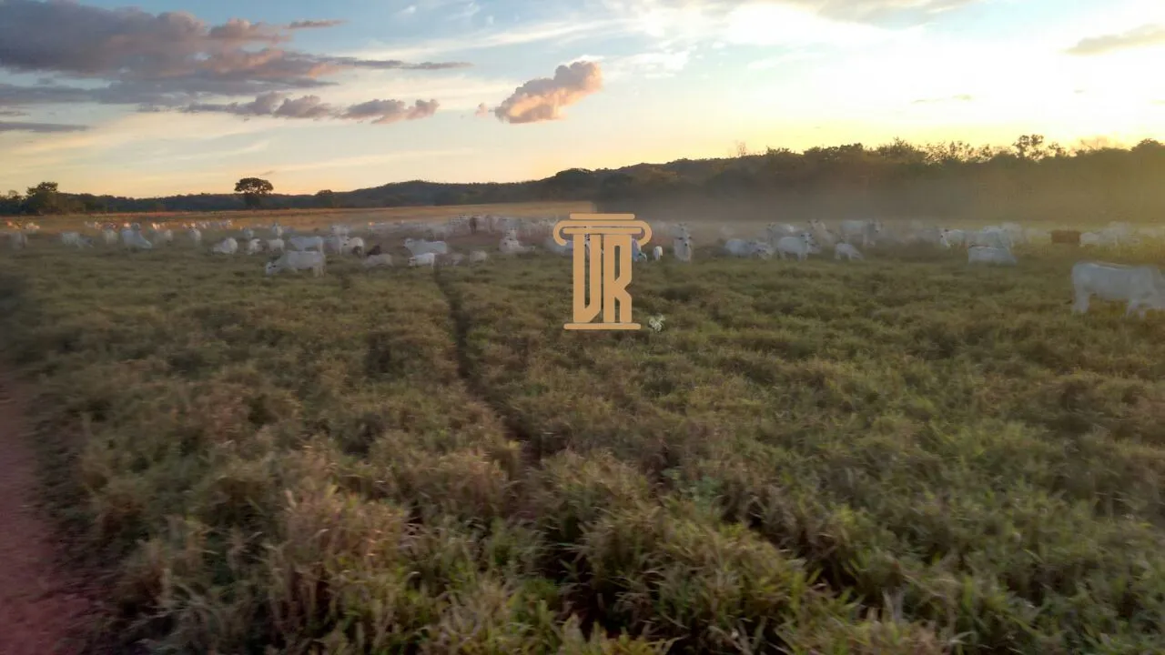 FAZENDA DE ALTO POTENCIAL &Agrave; VENDA &ndash; GOIATINS/TO  Goiatins - 