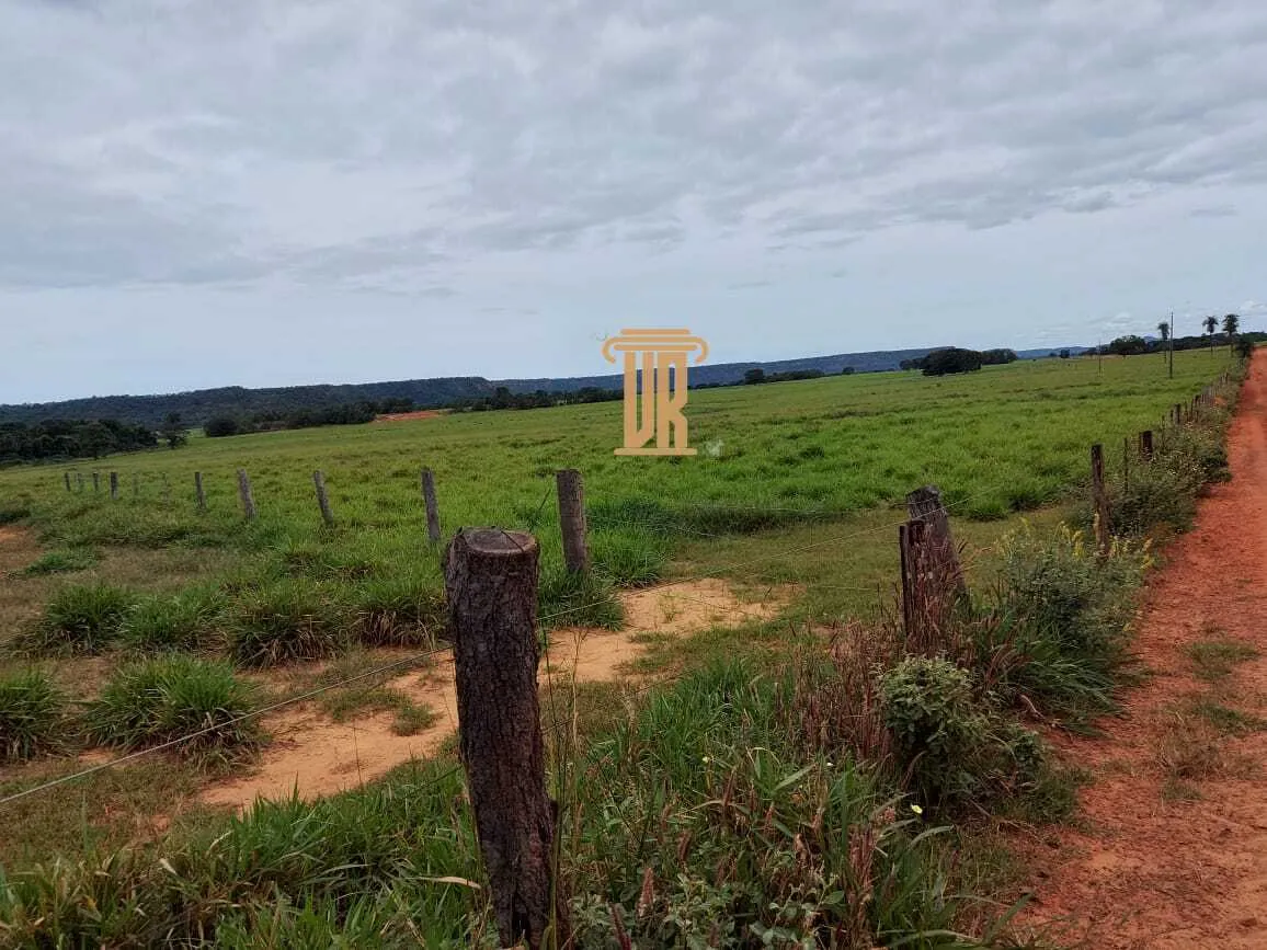 FAZENDA DE ALTO POTENCIAL &Agrave; VENDA &ndash; GOIATINS/TO  Goiatins - 
