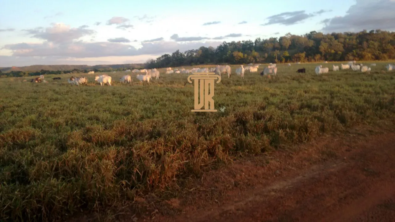 FAZENDA DE ALTO POTENCIAL &Agrave; VENDA &ndash; GOIATINS/TO  Goiatins - 