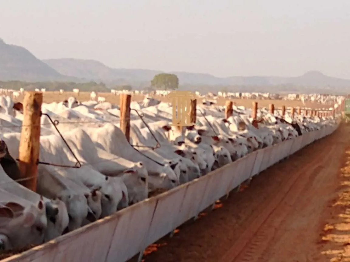 FAZENDA DE ALTO POTENCIAL &Agrave; VENDA &ndash; GOIATINS/TO  Goiatins - 