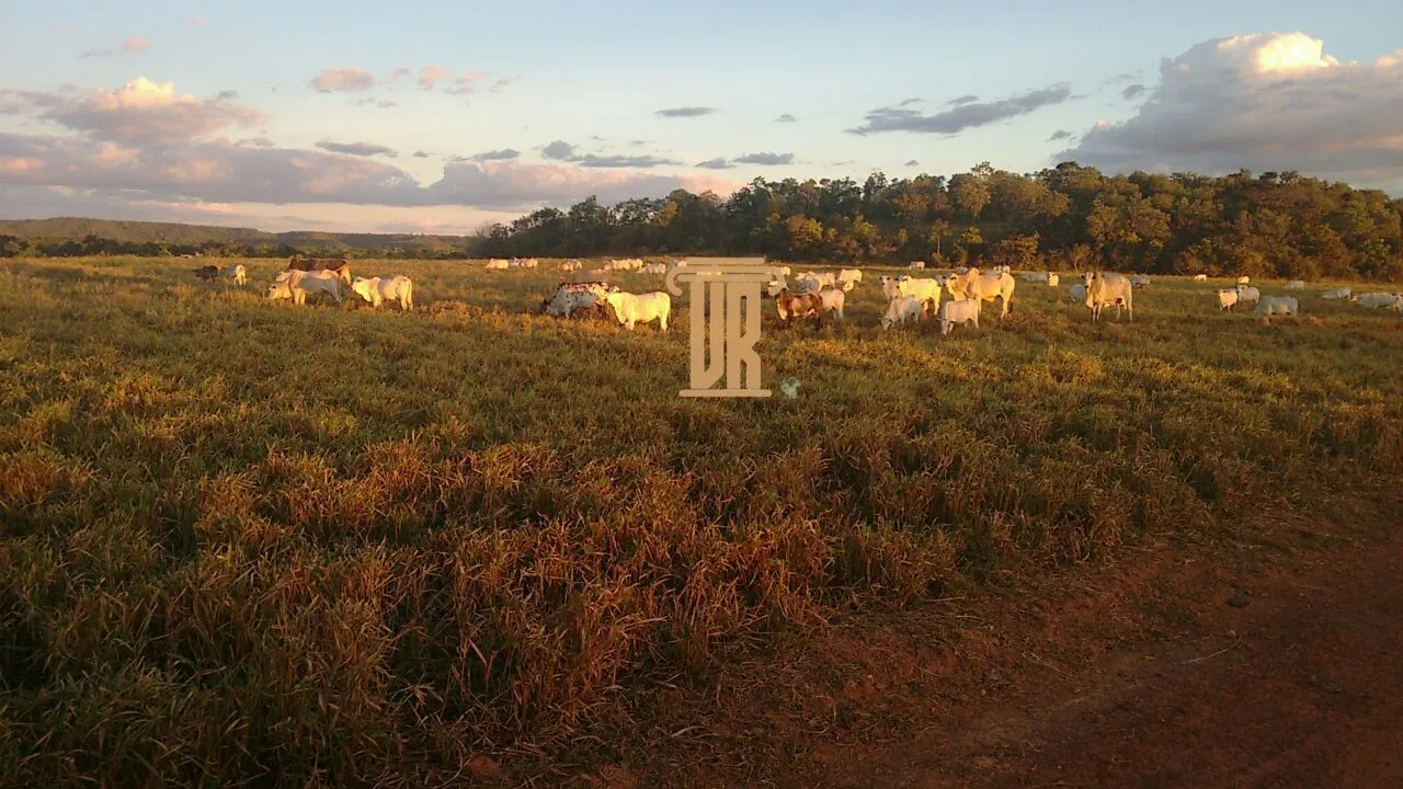 FAZENDA DE ALTO POTENCIAL &Agrave; VENDA &ndash; GOIATINS/TO  Goiatins - 