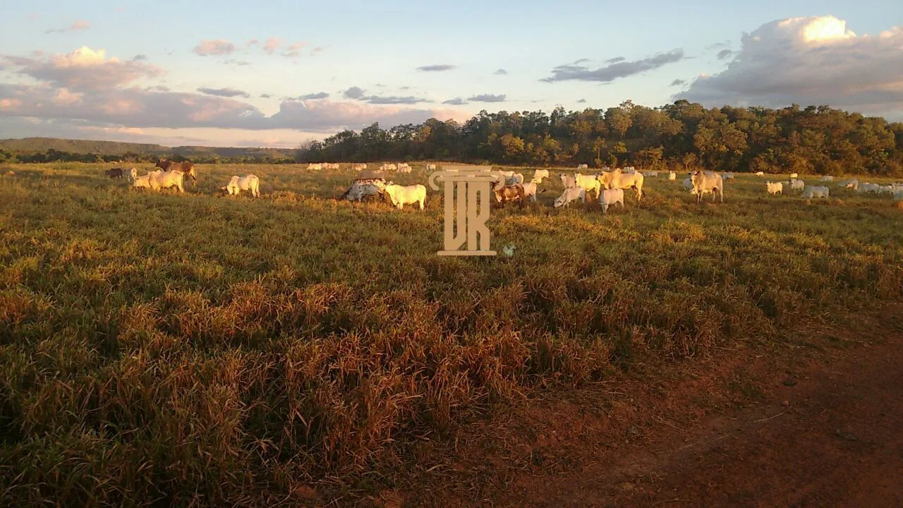 FAZENDA DE ALTO POTENCIAL &Agrave; VENDA &ndash; GOIATINS/TO  Goiatins - 