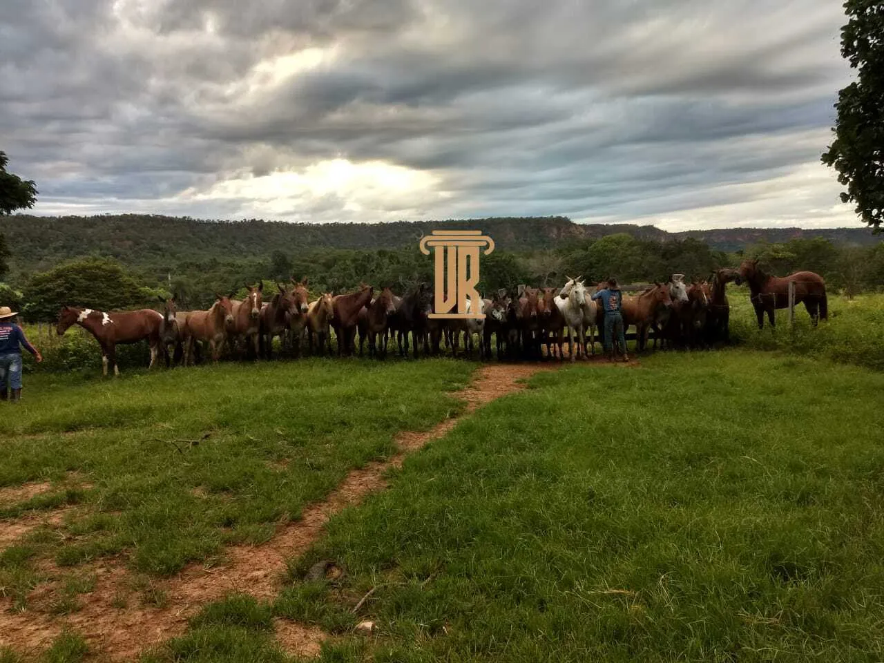 FAZENDA DE ALTO POTENCIAL &Agrave; VENDA &ndash; GOIATINS/TO  Goiatins - 
