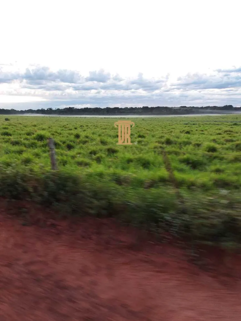 FAZENDA DE ALTO POTENCIAL &Agrave; VENDA &ndash; GOIATINS/TO  Goiatins - 