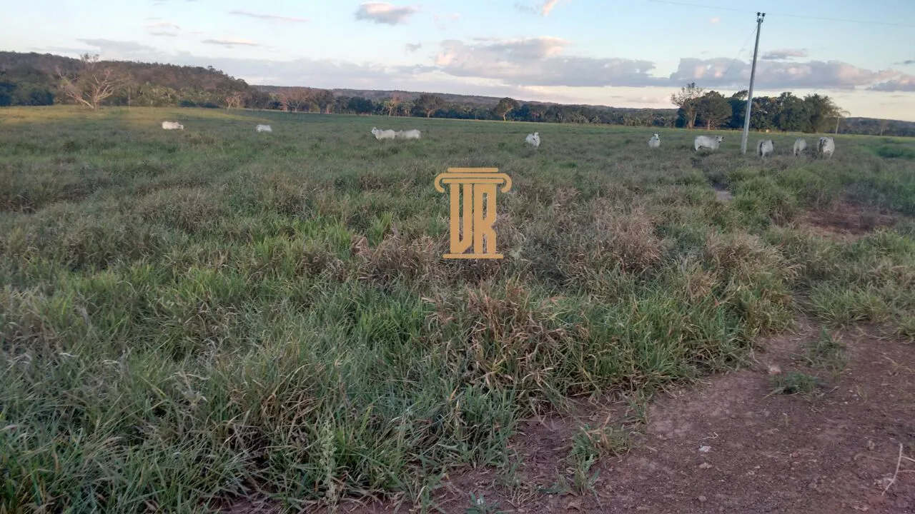 FAZENDA DE ALTO POTENCIAL &Agrave; VENDA &ndash; GOIATINS/TO  Goiatins - 