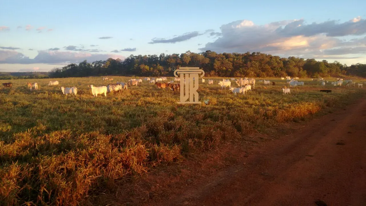 FAZENDA DE ALTO POTENCIAL &Agrave; VENDA &ndash; GOIATINS/TO  Goiatins - 