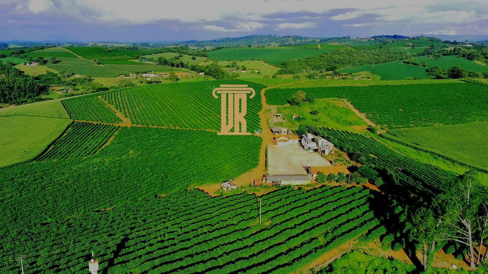 FAZENDA DE CAF&Eacute; DE ALTO PADR&Atilde;O EM MACHADO- MG  Machado - 