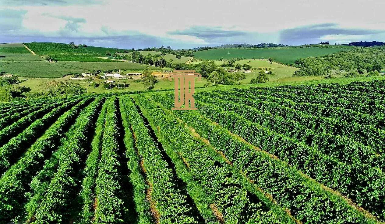 FAZENDA DE CAF&Eacute; DE ALTO PADR&Atilde;O EM MACHADO- MG  Machado - 