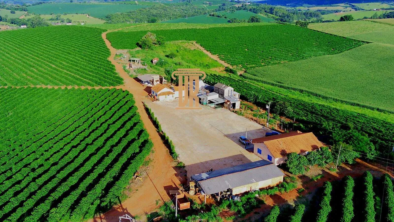 FAZENDA DE CAF&Eacute; DE ALTO PADR&Atilde;O EM MACHADO- MG  Machado - 