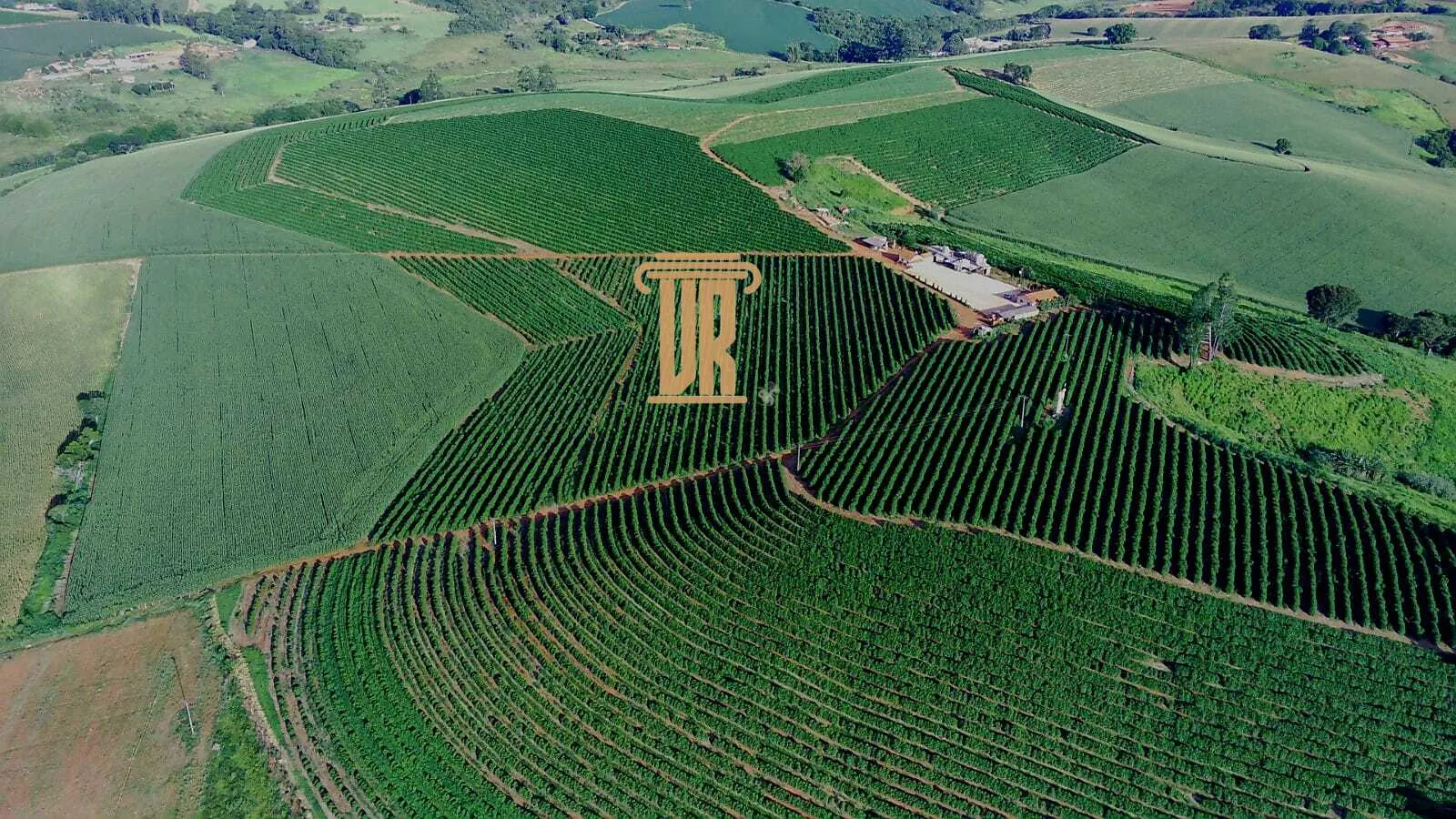 FAZENDA DE CAF&Eacute; DE ALTO PADR&Atilde;O EM MACHADO- MG  Machado - 