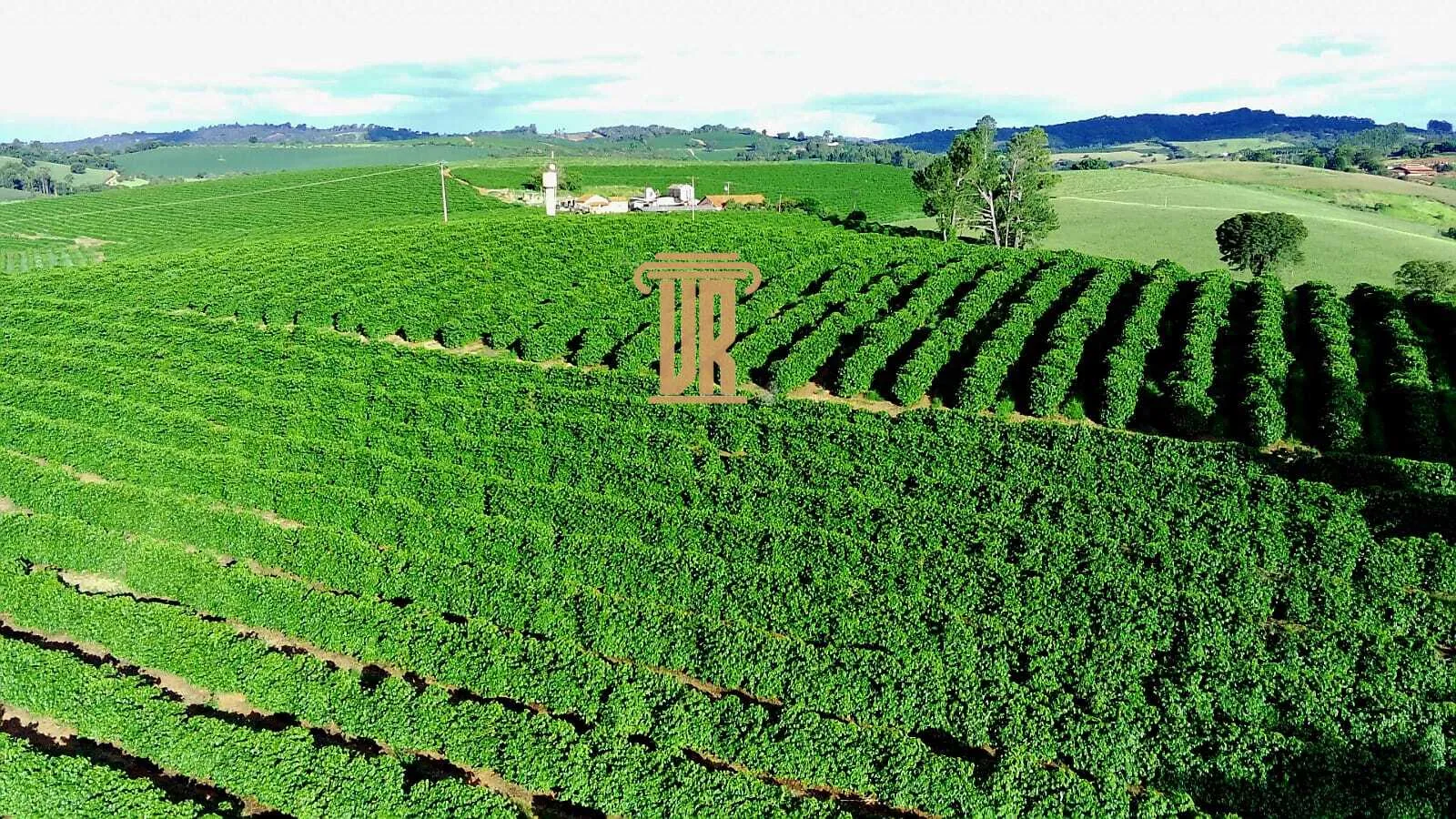 FAZENDA DE CAF&Eacute; DE ALTO PADR&Atilde;O EM MACHADO- MG  Machado - 