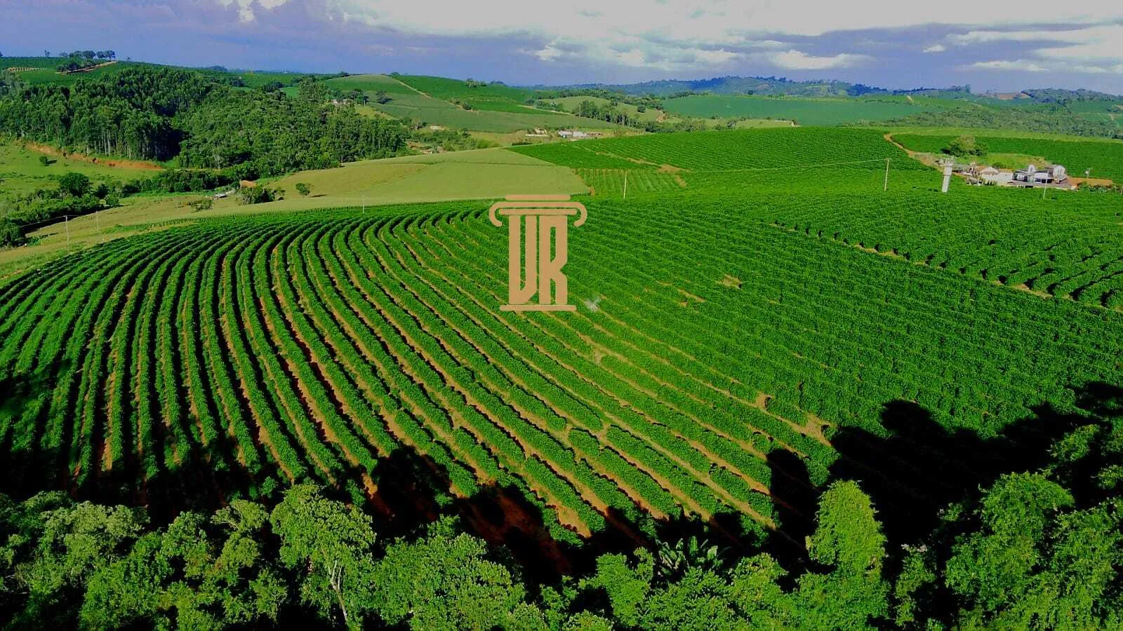 FAZENDA DE CAF&Eacute; DE ALTO PADR&Atilde;O EM MACHADO- MG  Machado - 